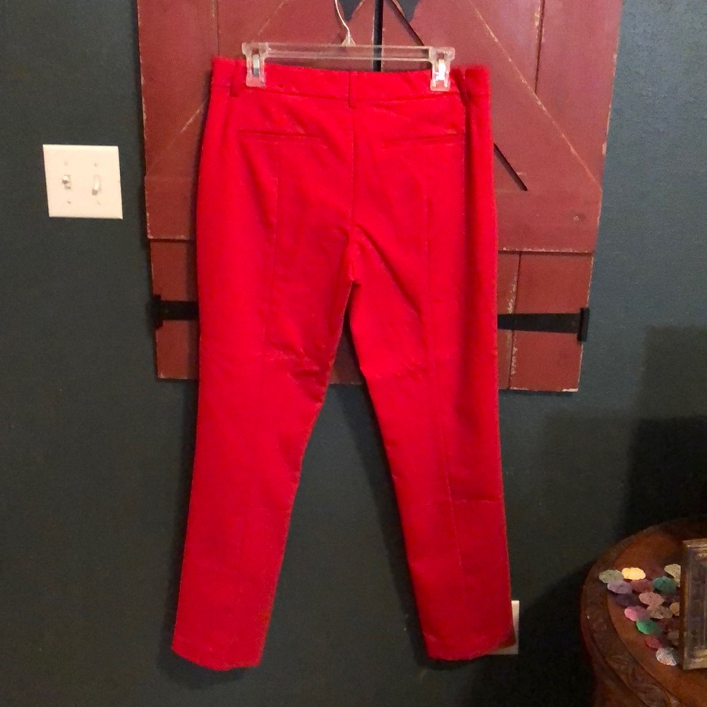Express dress pants